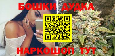 индика Ливны
