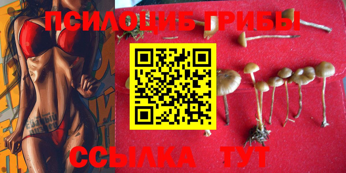 Псилоцибиновые грибы MAGIC MUSHROOMS Уссурийск